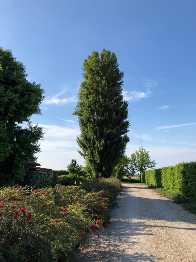 Via D' Este 8 Gualtieri Exterior foto